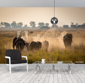 Picture of Beautiful wildlife at Chobe National Park Botswana